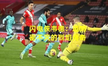 闪电侠韦德：迈阿密不灭的烈焰传奇