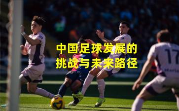 中国足球发展的挑战与未来路径