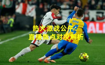 热火激战公牛：直播焦点对决解析
