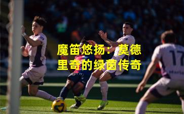 魔笛悠扬：莫德里奇的绿茵传奇