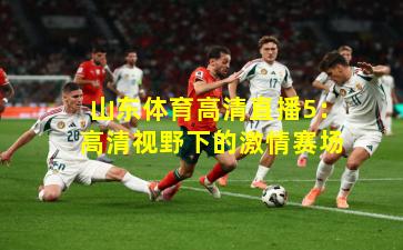 山东体育高清直播5：高清视野下的激情赛场