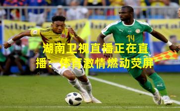 湖南卫视直播正在直播:体育激情燃动荧屏