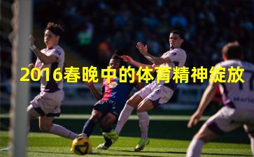 2016春晚中的体育精神绽放