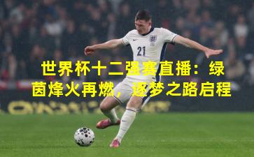 世界杯十二强赛直播：绿茵烽火再燃，逐梦之路启程