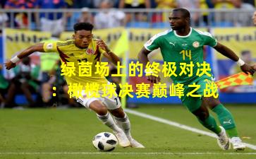 绿茵场上的终极对决：橄榄球决赛巅峰之战